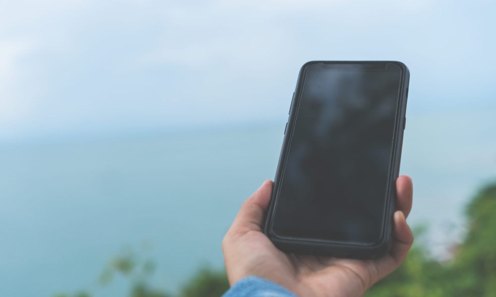 Минцифры добавило в «белые списки» онлайн-кинотеатр Premier, MVNO-операторов «ВТБ-Мобайл» и Next mobile